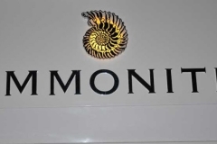 Ammonite-Loga